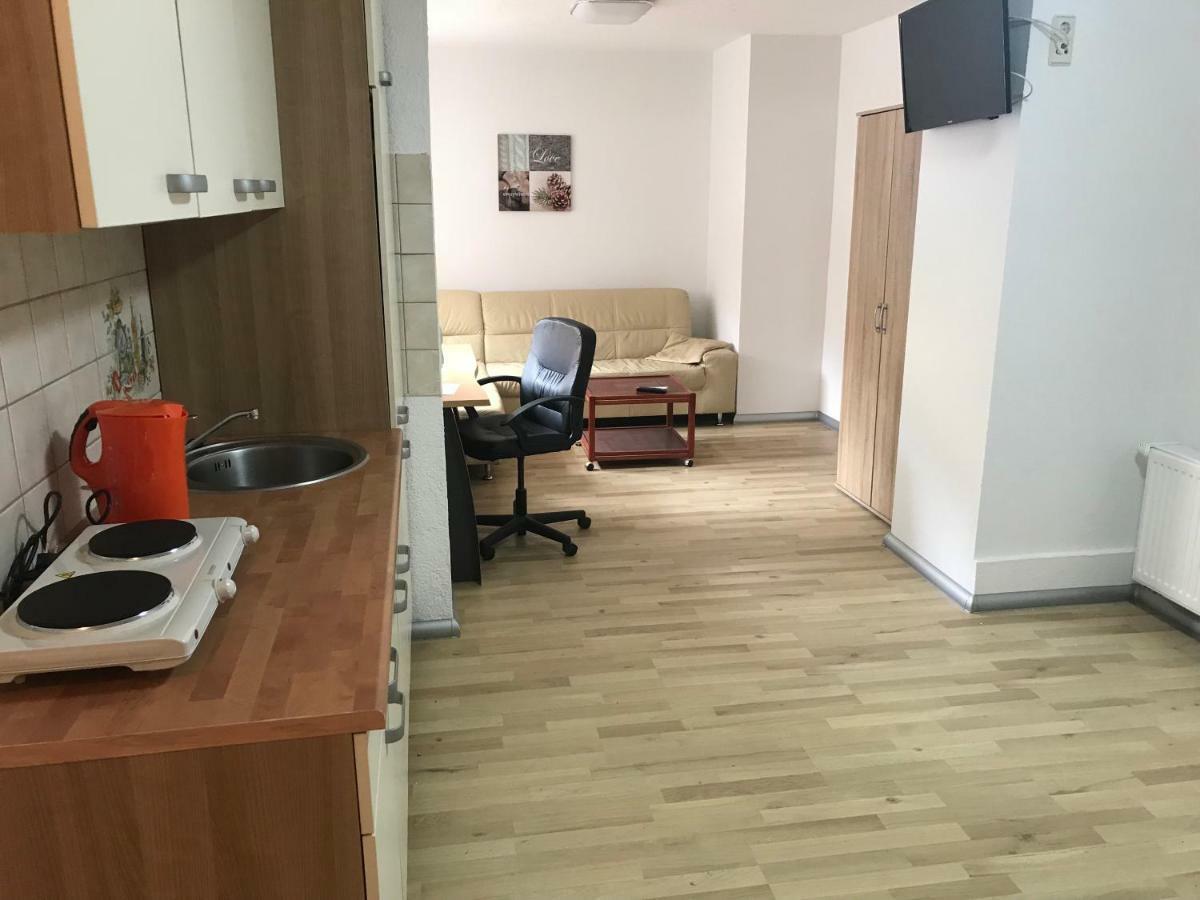 Appartment Митвайда Экстерьер фото